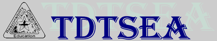 Texas Driver Traffic Safety Education Association